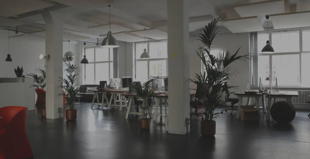 Virus sanitizing Salinas